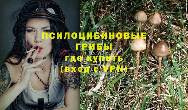 Галлюциногенные грибы Cubensis  blacksprut зеркало  Инза 